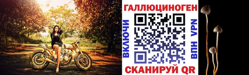 как найти   Сатка  Галлюциногенные грибы мухоморы 